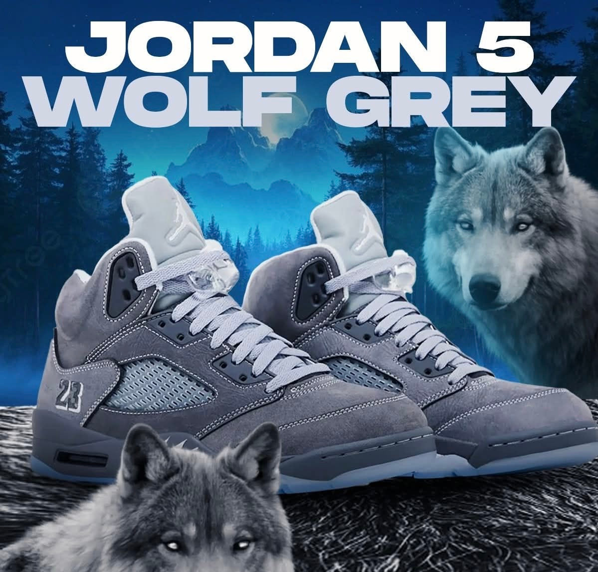 Air Jordan 5’s