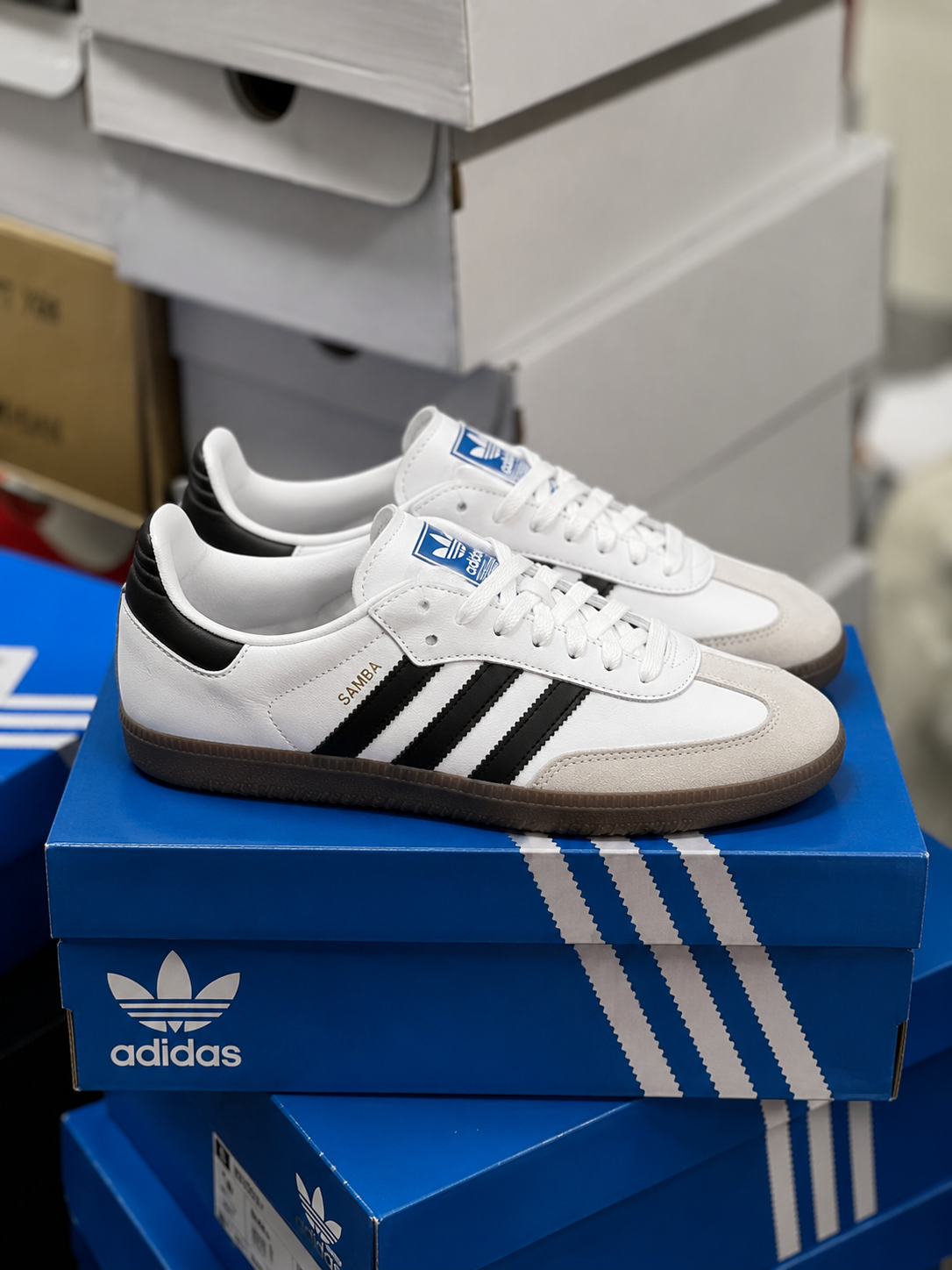 Adidas sambas